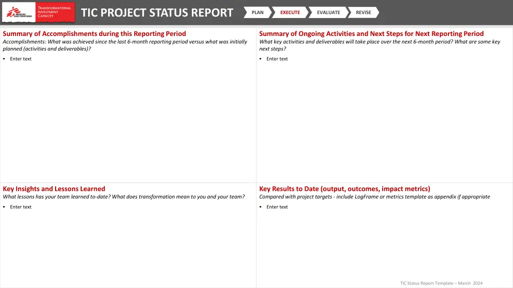 tic project status report 1