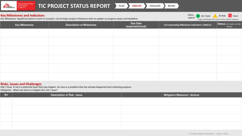 tic project status report 2