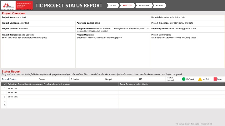 tic project status report