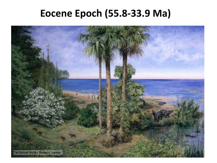 eocene epoch 55 8 33 9 ma