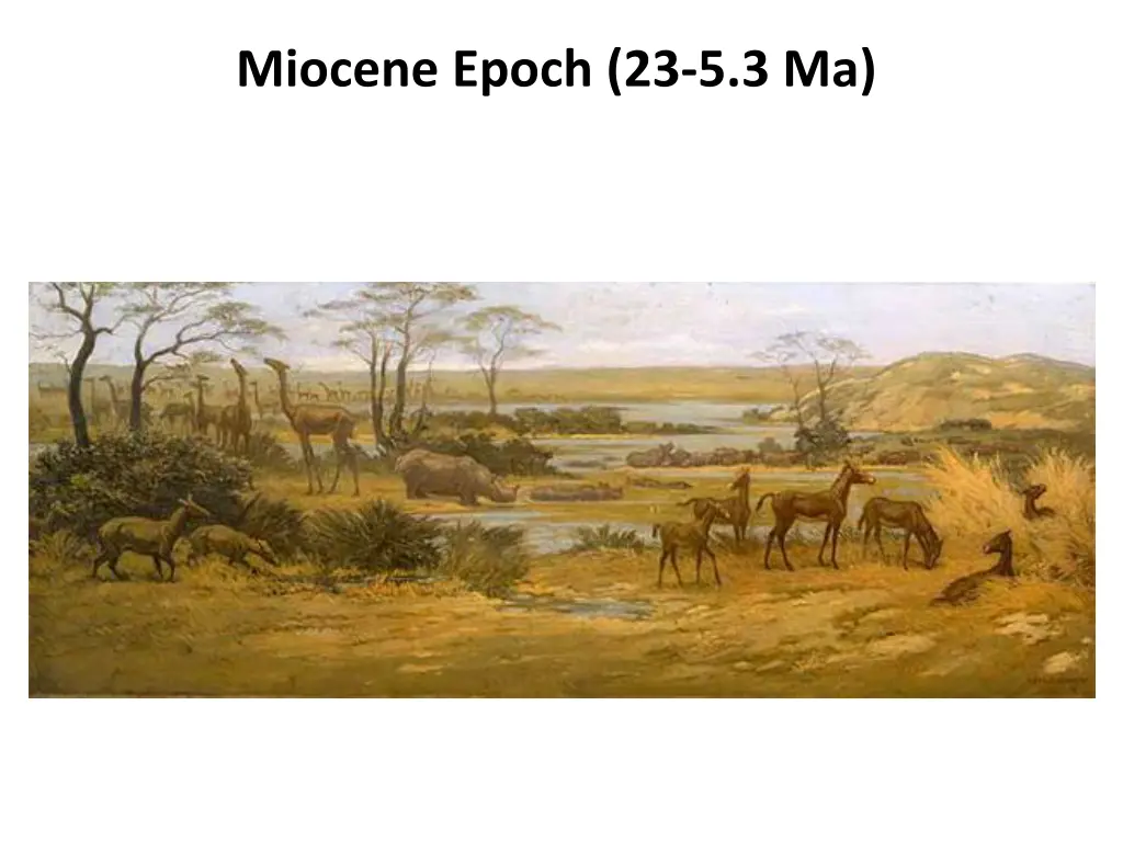 miocene epoch 23 5 3 ma