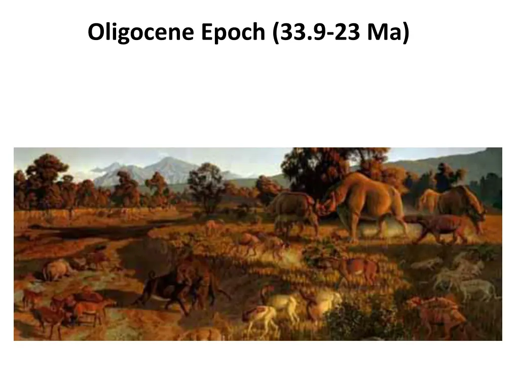 oligocene epoch 33 9 23 ma