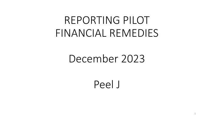 reporting pilot financial remedies