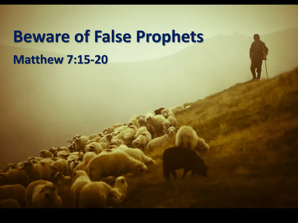 beware of false prophets