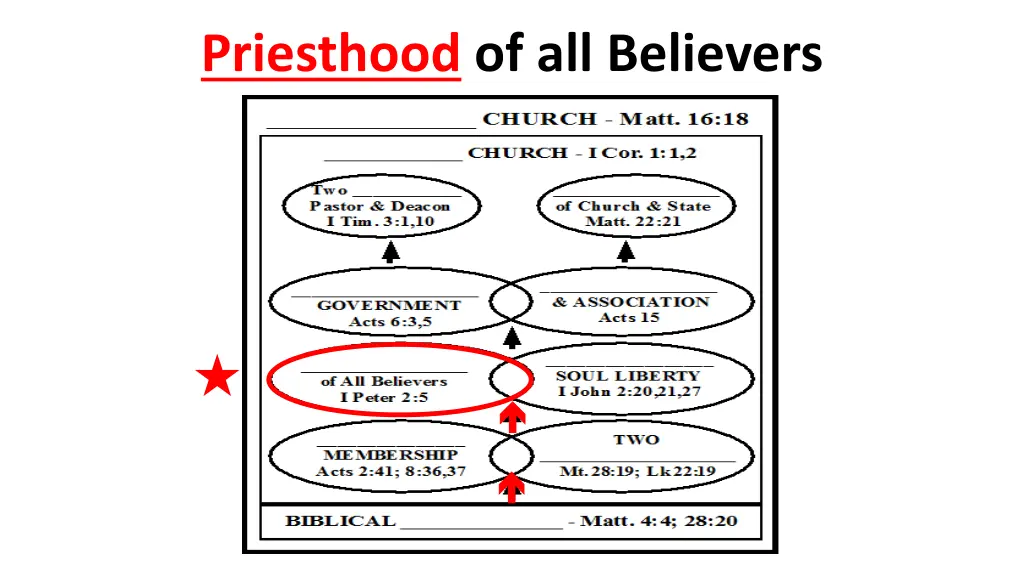 priesthood of all believers