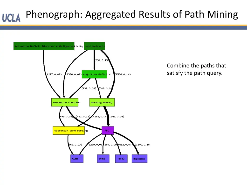 phenograph aggregated results of path mining