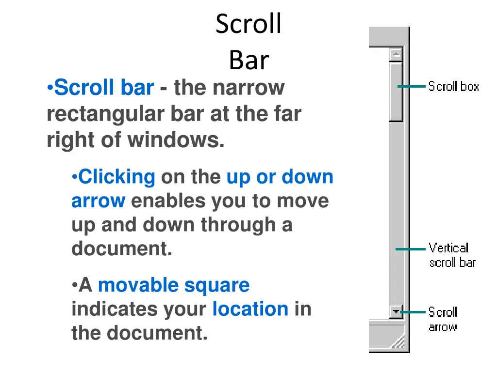 scroll bar