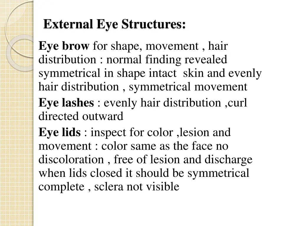 external eye structures