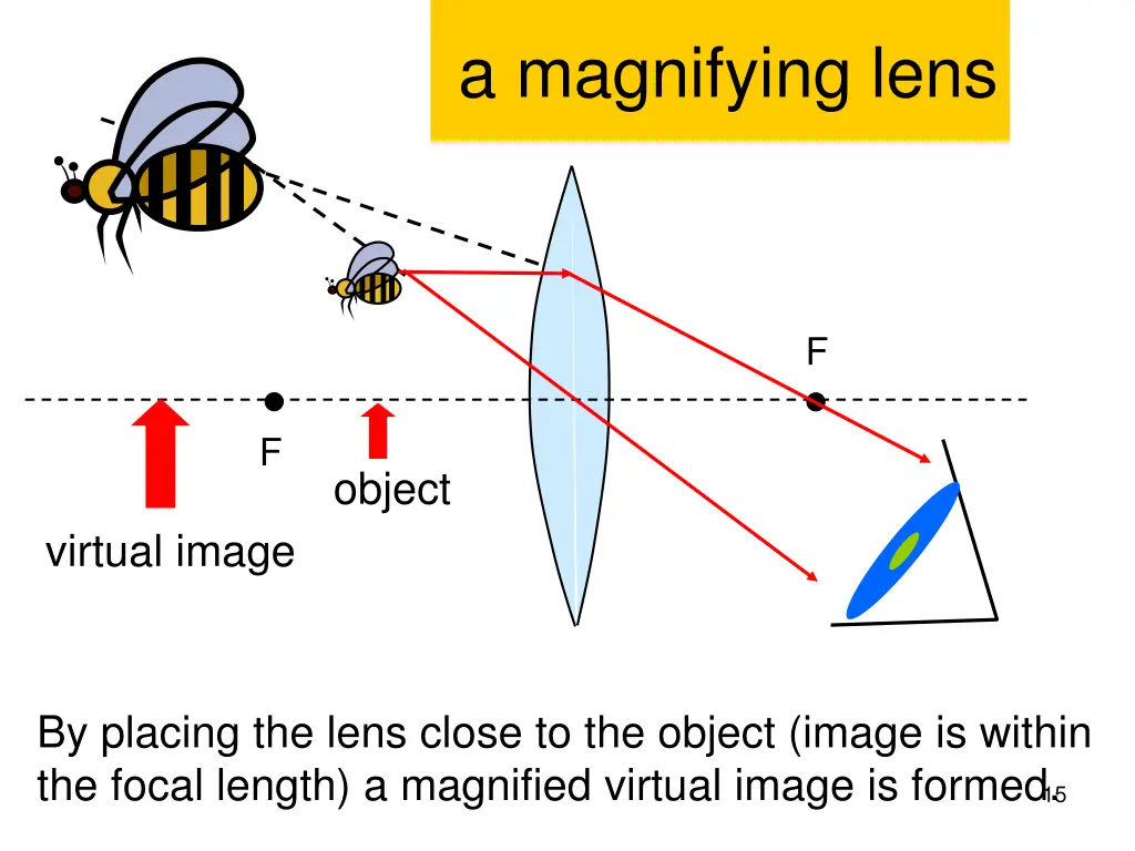 a magnifying lens