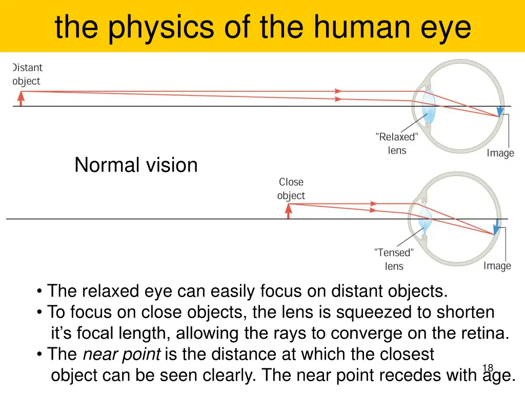 the physics of the human eye