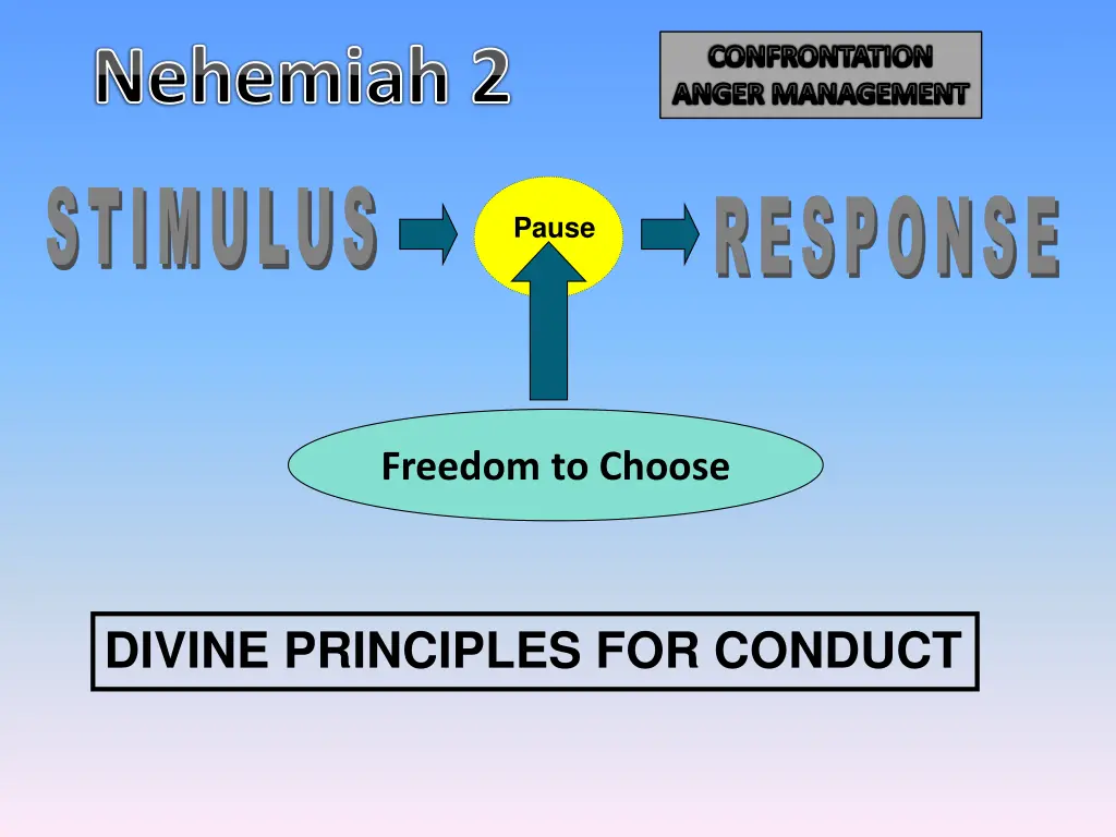 nehemiah 2 8