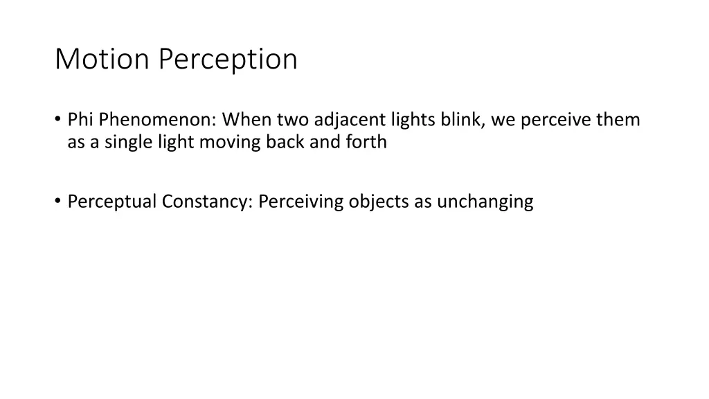 motion perception