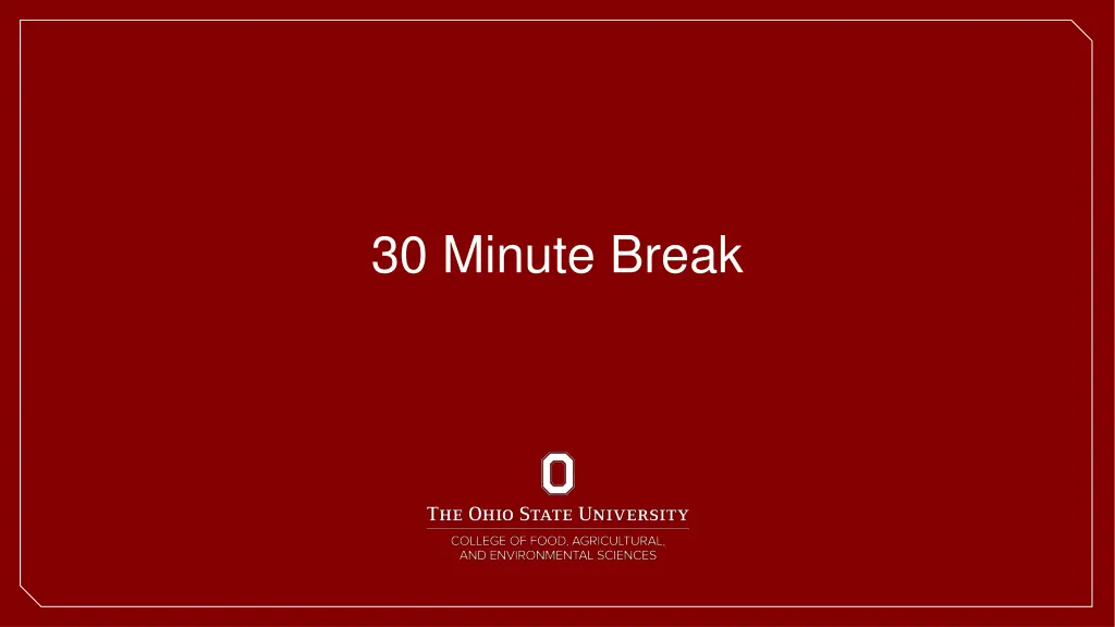 30 minute break