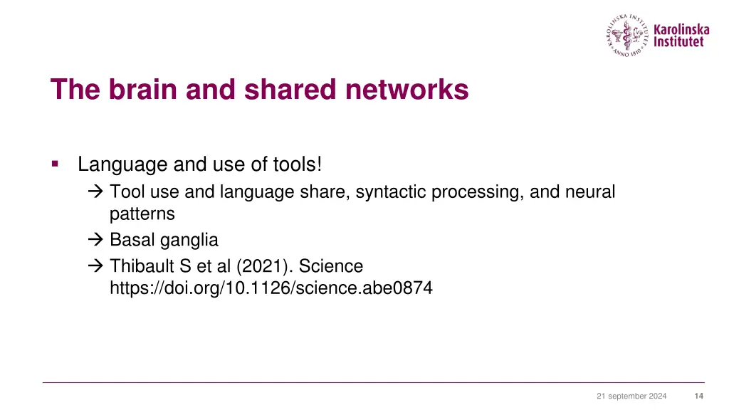 the brain and shared networks