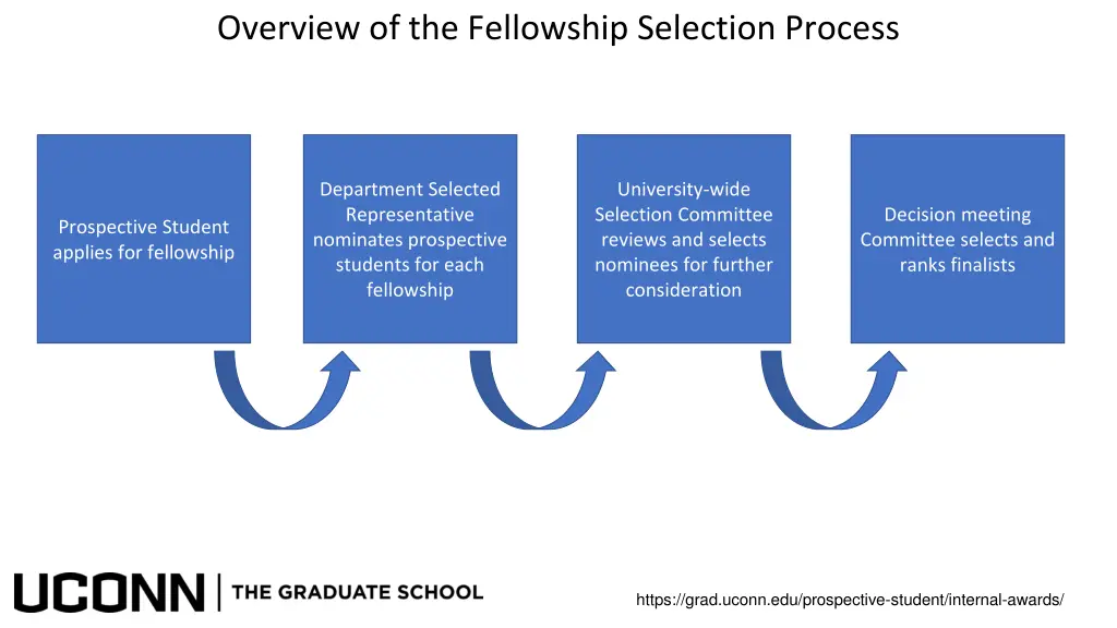 overview of the fellowship selection process