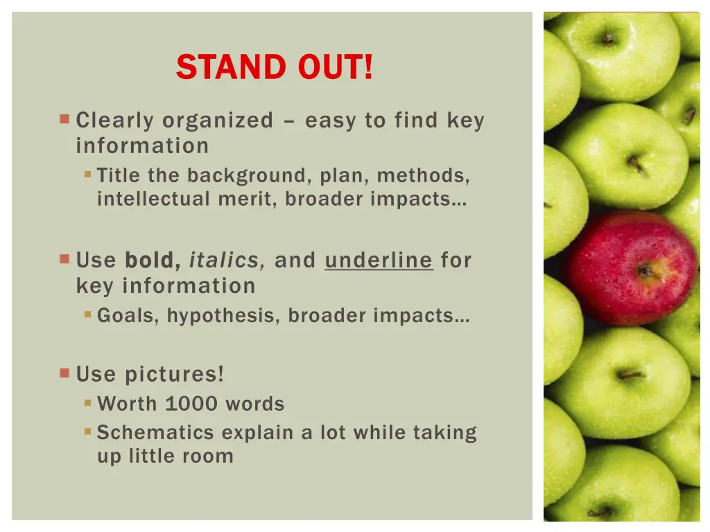 stand out stand out