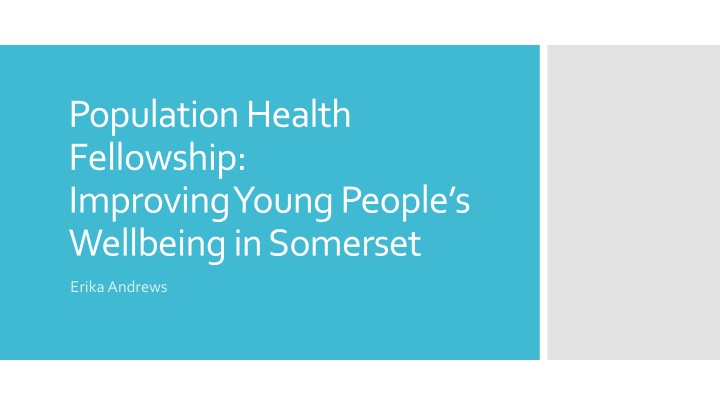 population health fellowship improving young