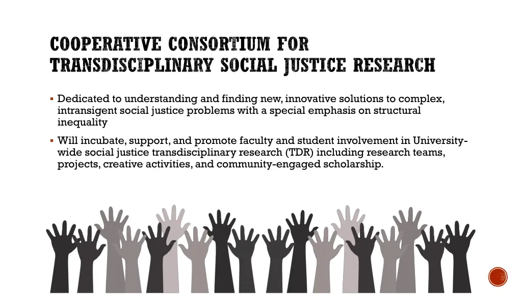 cooperative consortium for transdisciplinary 1