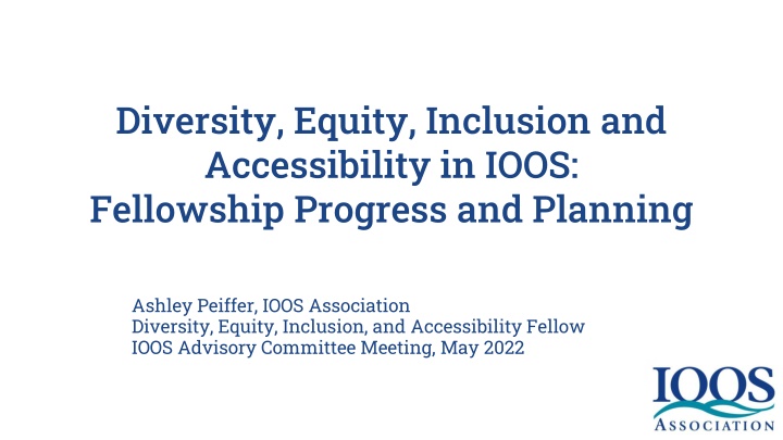 diversity equity inclusion and accessibility