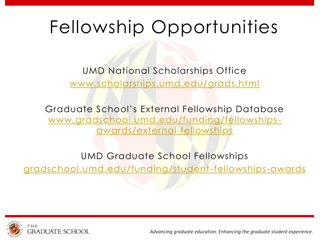 fellowship opportunities