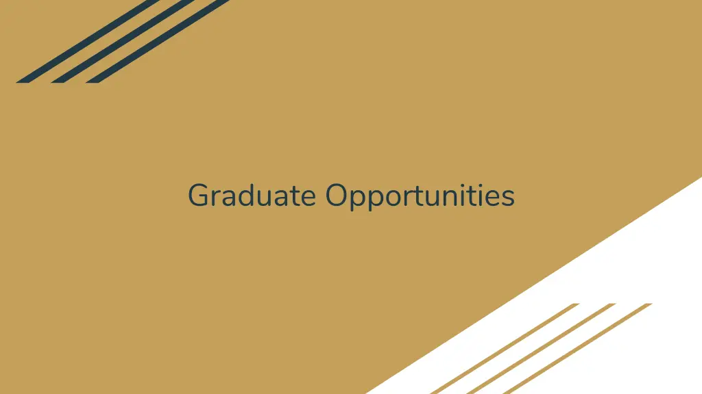 graduate opportunities