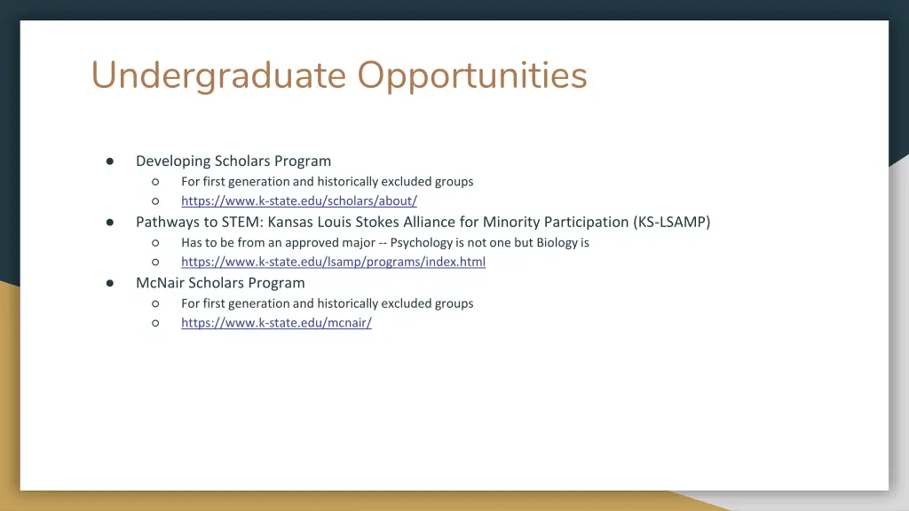 undergraduate opportunities 1