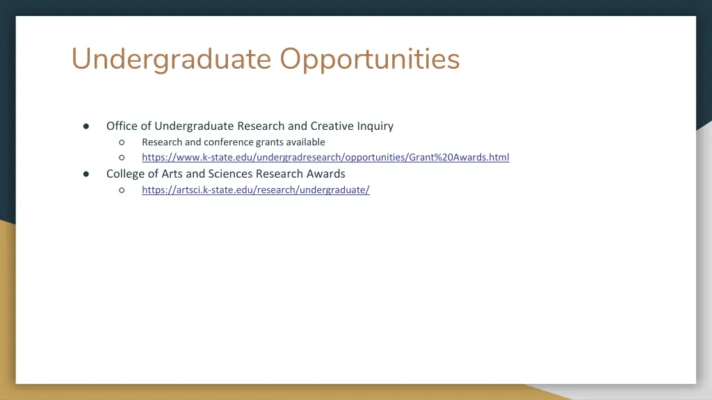 undergraduate opportunities 2