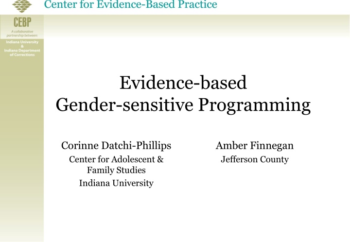 evidence based gender sensitive programming