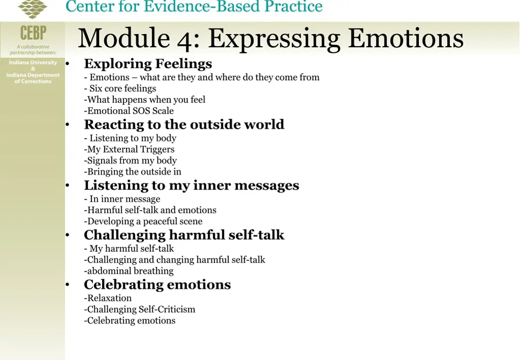 module 4 expressing emotions exploring feelings