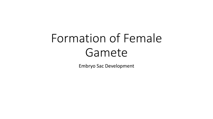 formation of female gamete