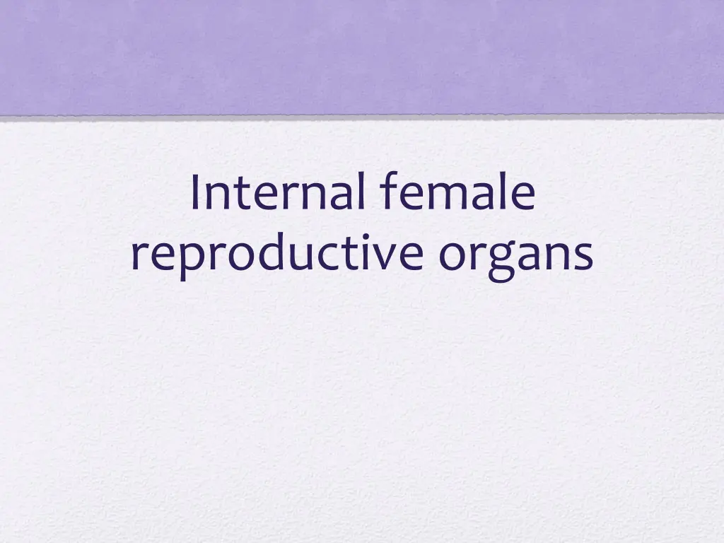 internal female reproductive organs