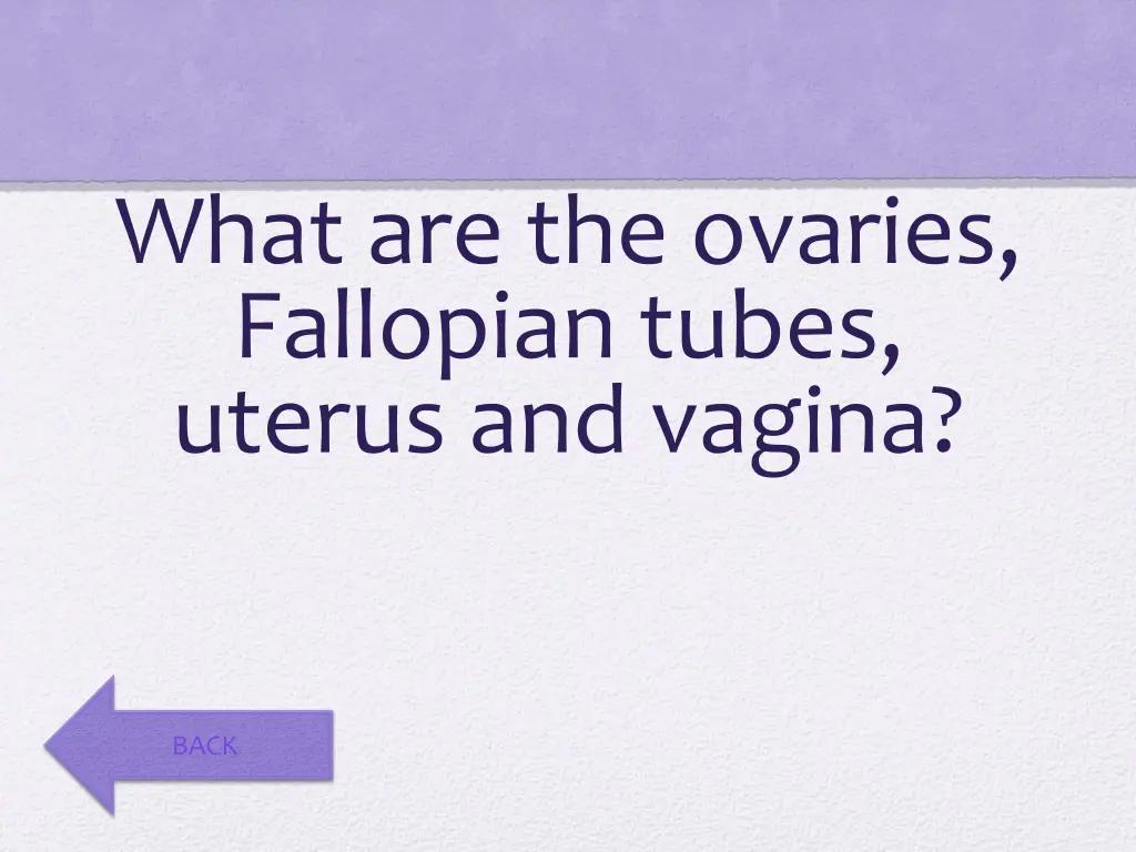 what are the ovaries fallopian tubes uterus