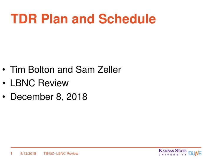 tdr plan and schedule