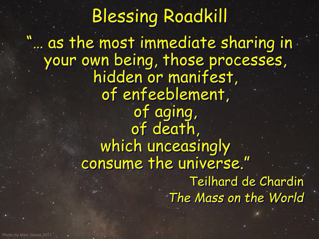 blessing roadkill as the most immediate sharing