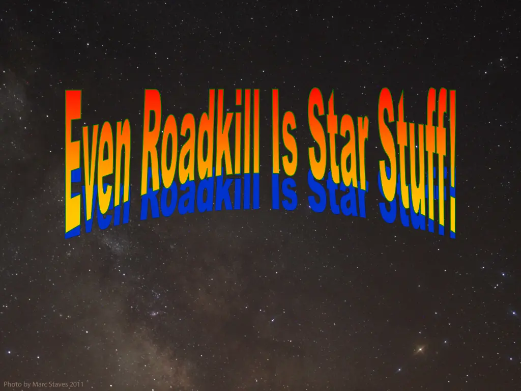 even roadkill is star stuff