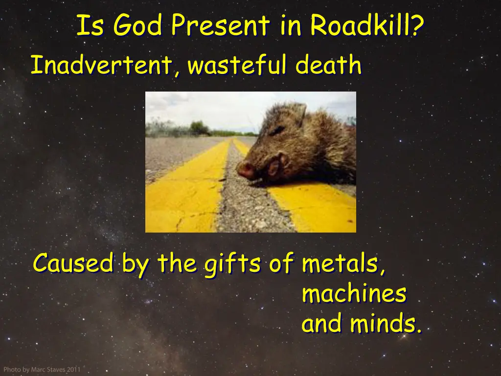 is god present in roadkill inadvertent wasteful