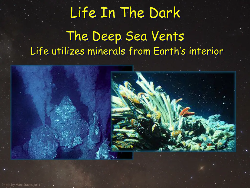 life in the dark the deep sea vents life utilizes