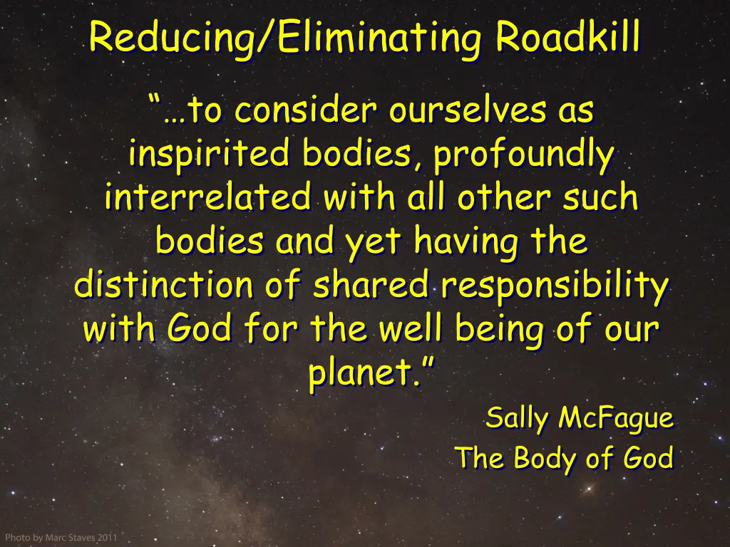 reducing eliminating roadkill 1