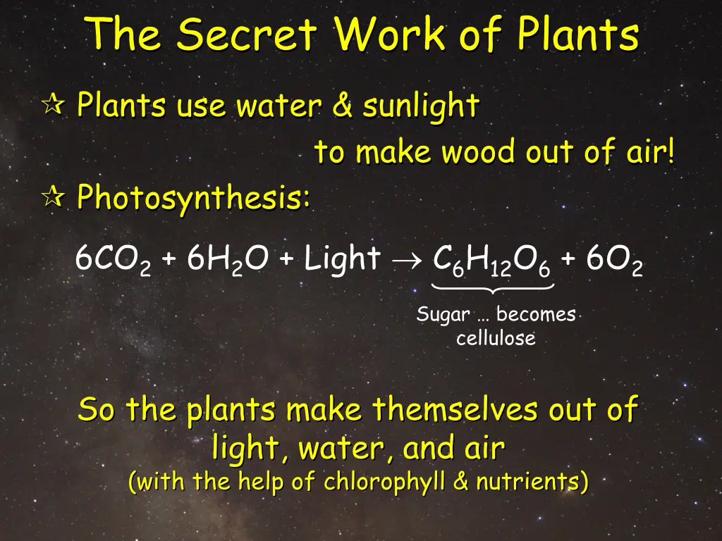 the secret work of plants