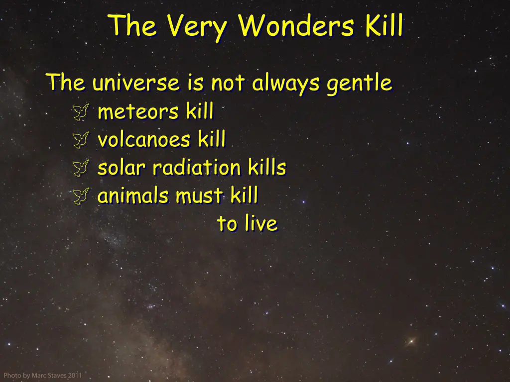 the very wonders kill