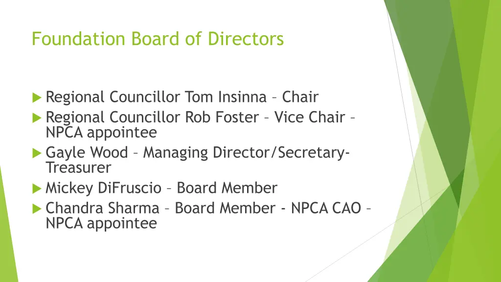 foundation board of directors 1