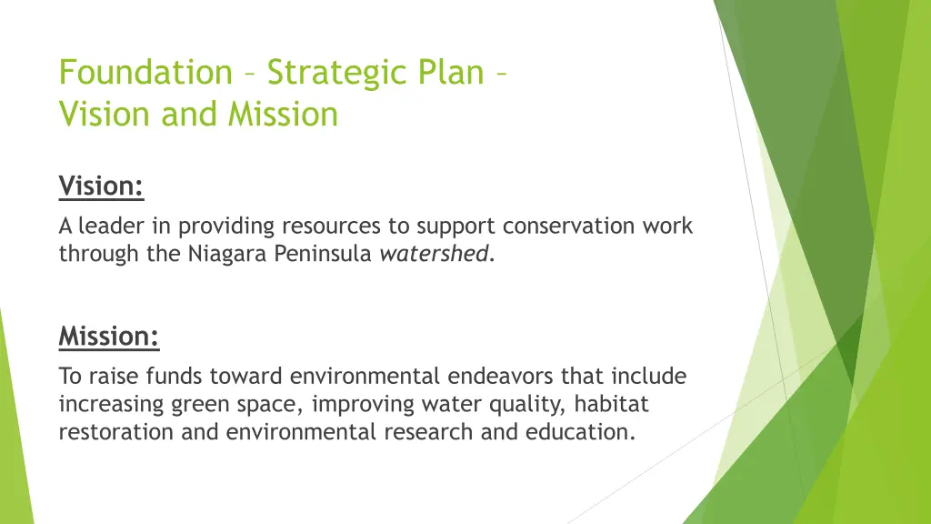 foundation strategic plan vision and mission