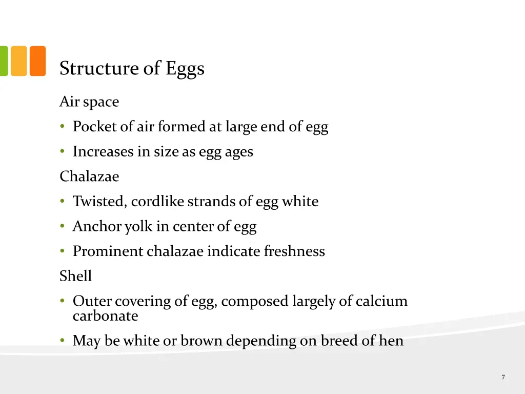 structure of eggs 1