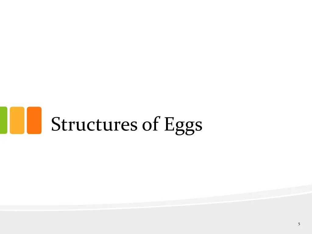 structures of eggs