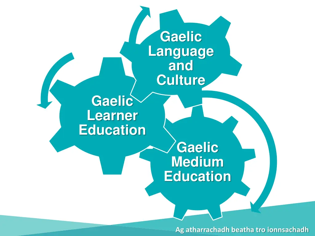 gaelic language and culture