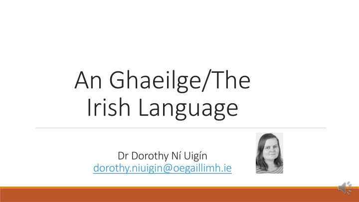 an ghaeilge the irish language