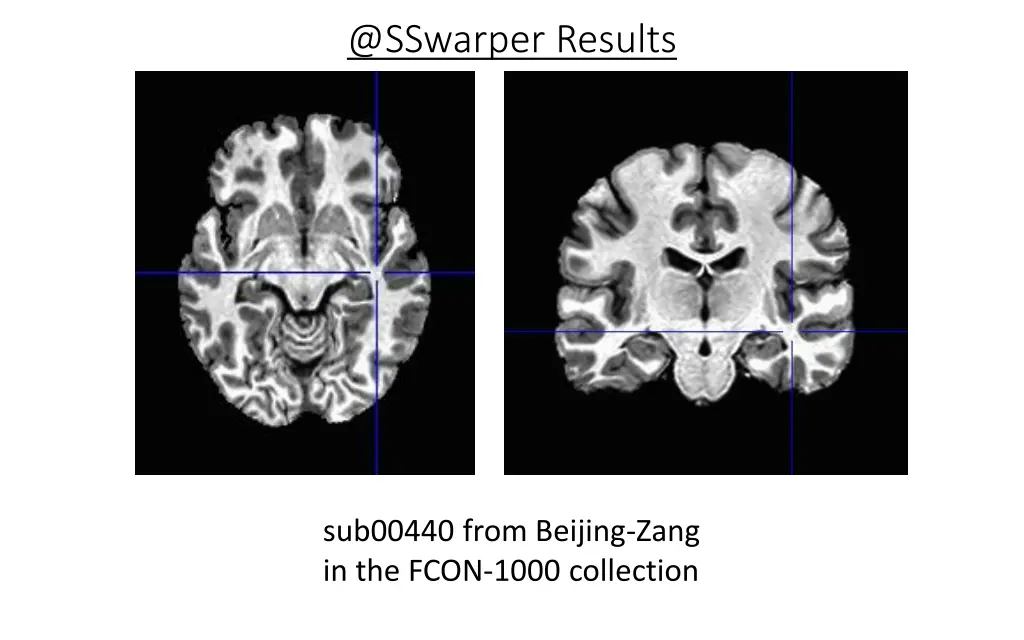 @sswarper results