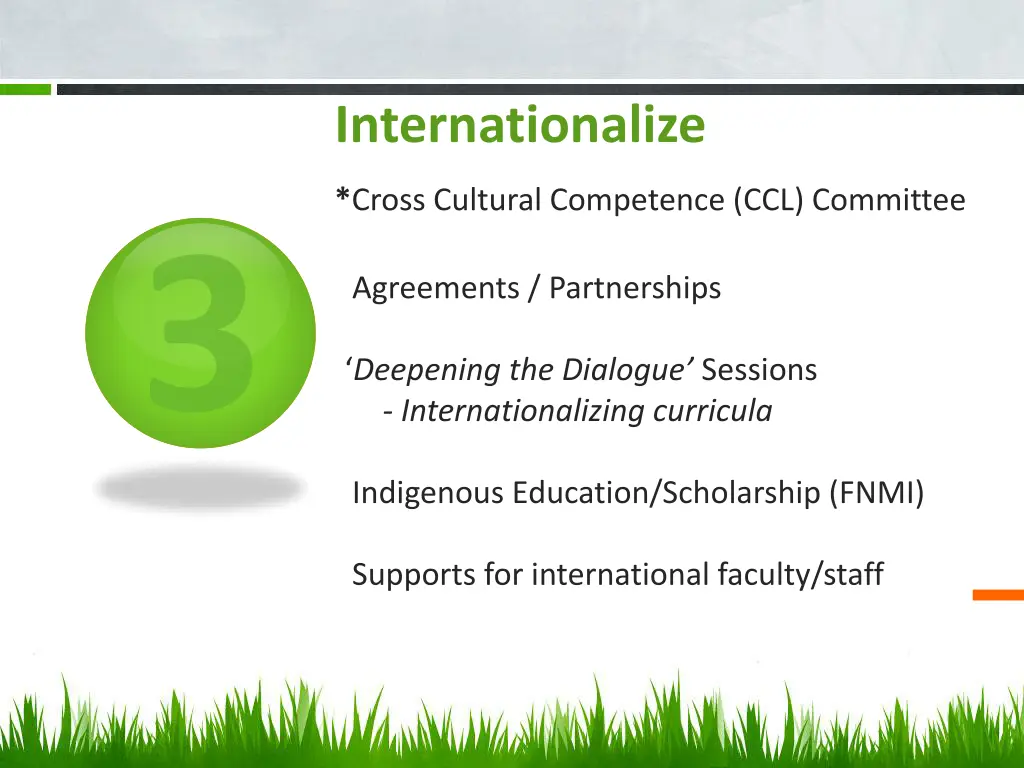 internationalize cross cultural competence