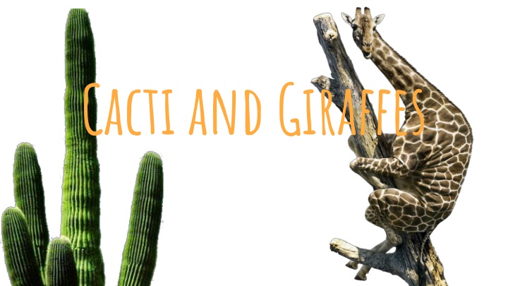 cacti and giraffes