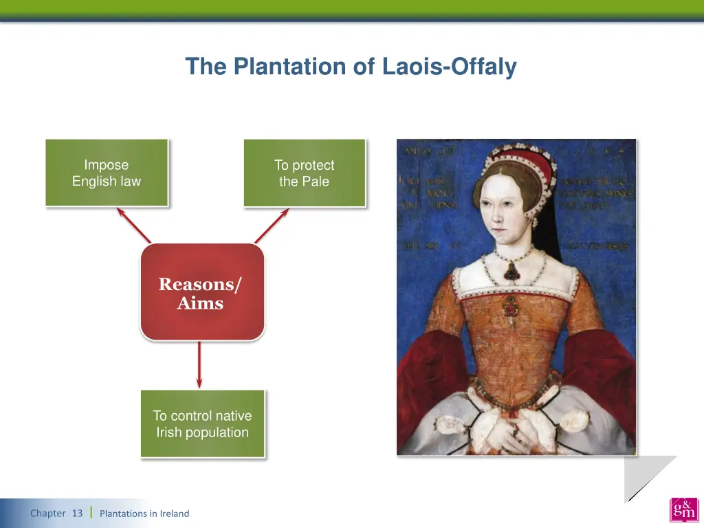 the plantation of laois offaly